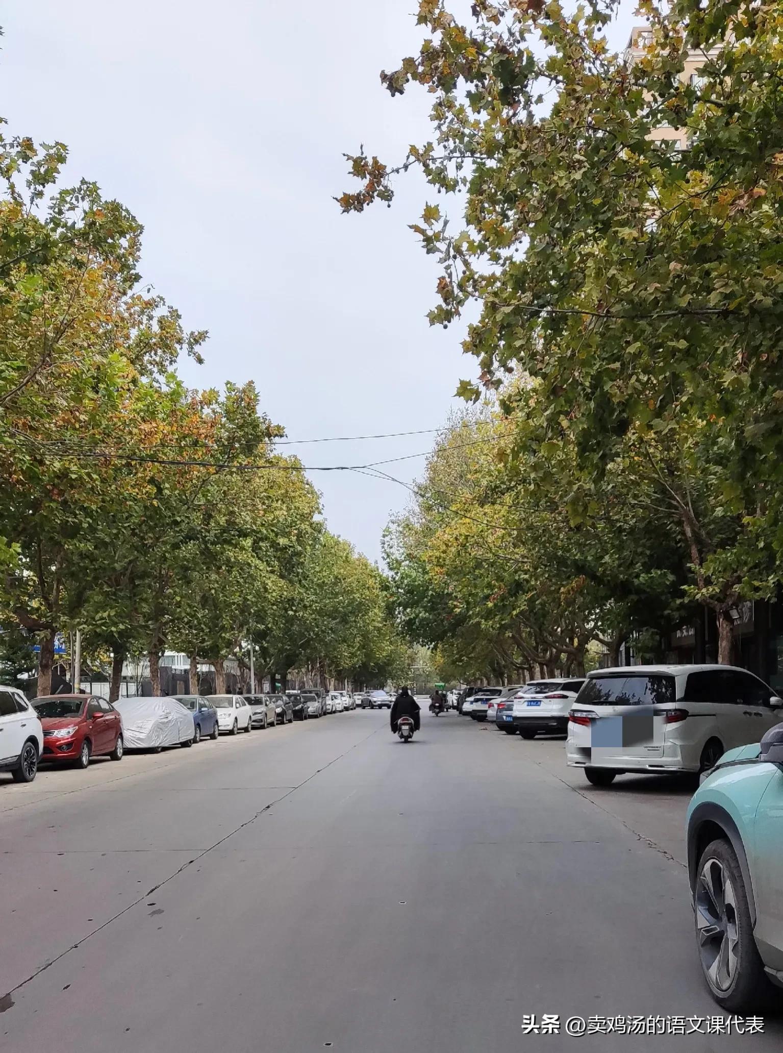 怀孕12周孕反严重怎么办,孕妇12周以内阳了怎么办