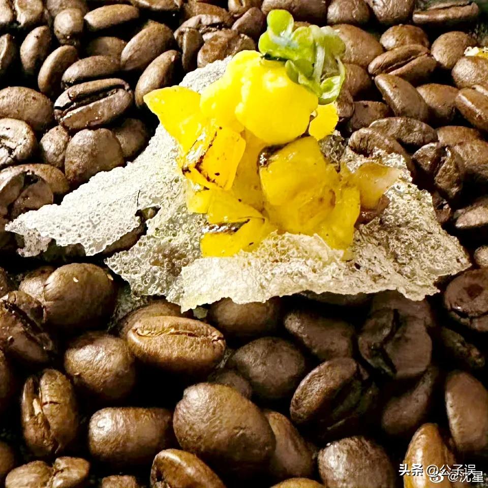 一张和冯小刚的“夜宿门”照片，彻底撕下了沈星的遮羞布