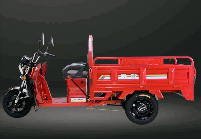 金彭全封闭最大尺寸电动三轮车,金彭电动三轮车载重多少公斤