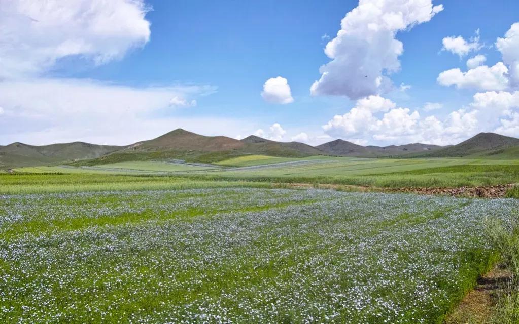 用QQ和微信发消息有什么不一样吗？