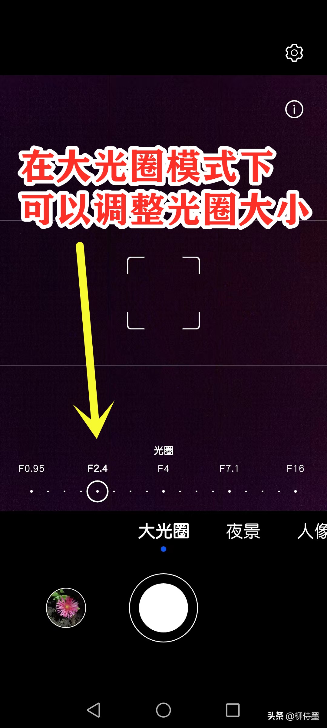 荷花摄影技巧和方法,荷花怎么拍出高级感的照片