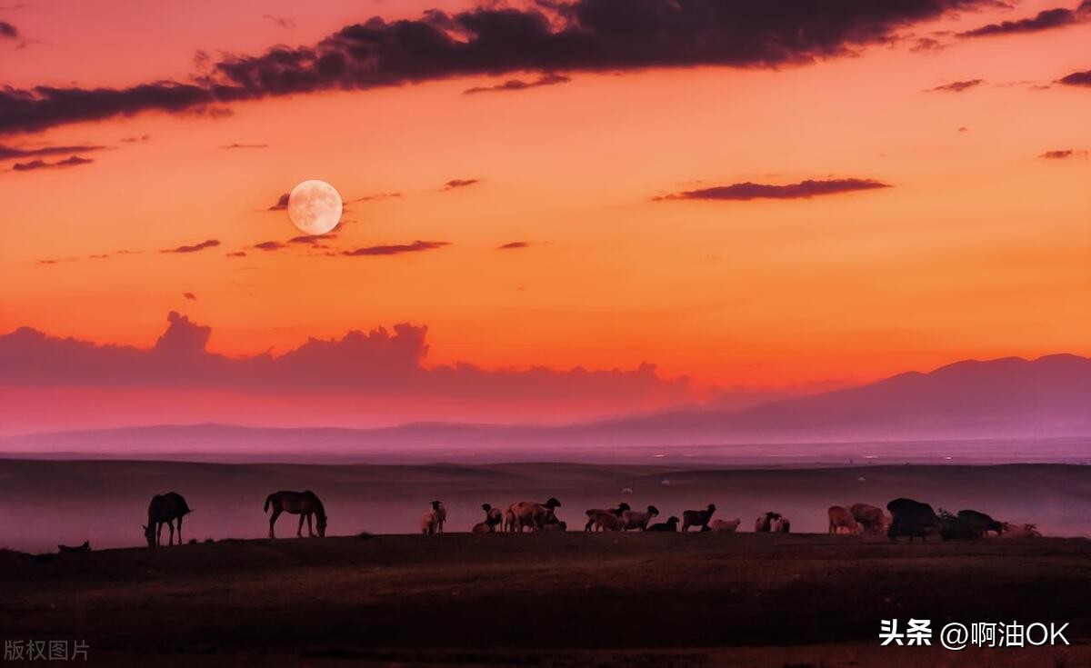 人这一生当中要经历亲情爱情友情,友情珍贵还是爱情珍贵