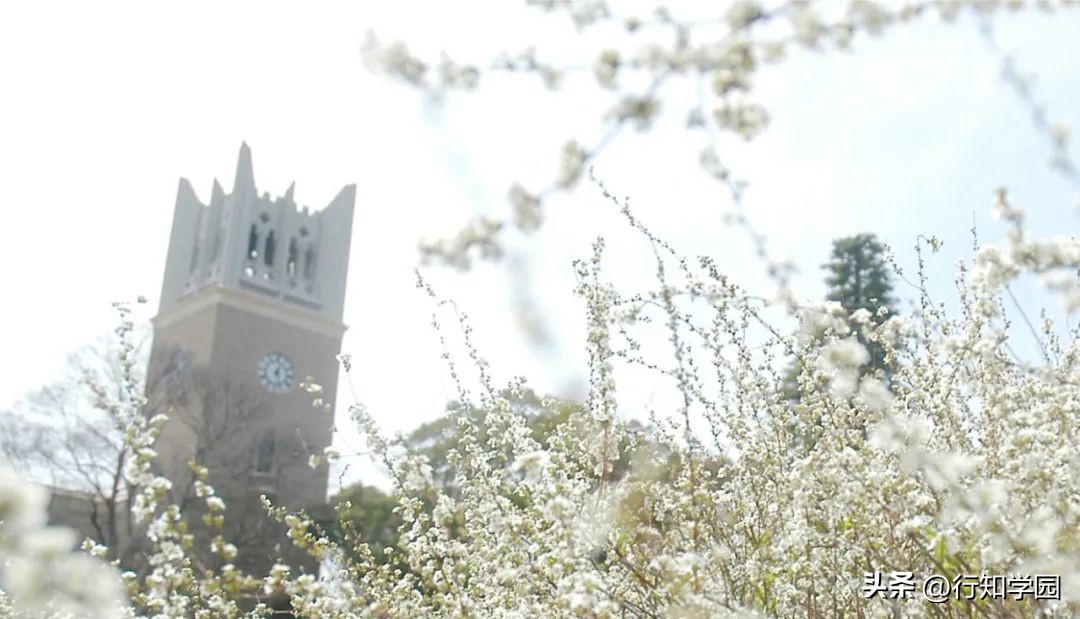 2024qs世界大学排名日本完整榜单,2024qs日本大学世界排名