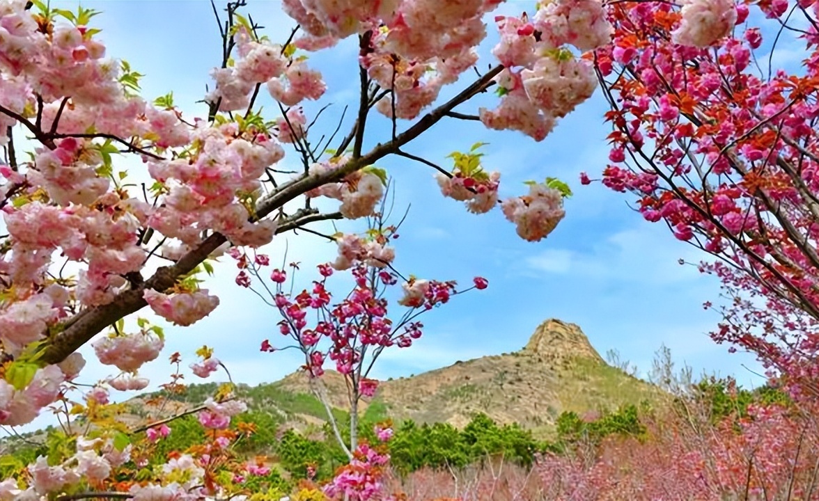威海乳山漂亮吗,探访威海乳山的美丽风光