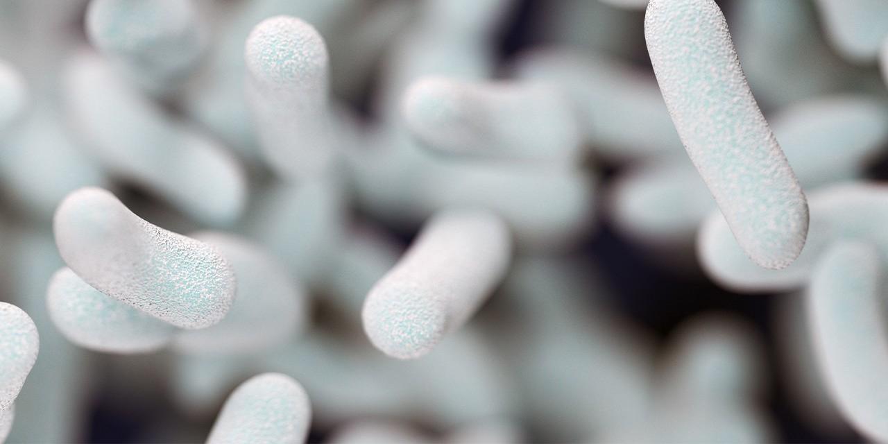 新锐联手全球知名菌库ATCC，提高非标准菌株价值