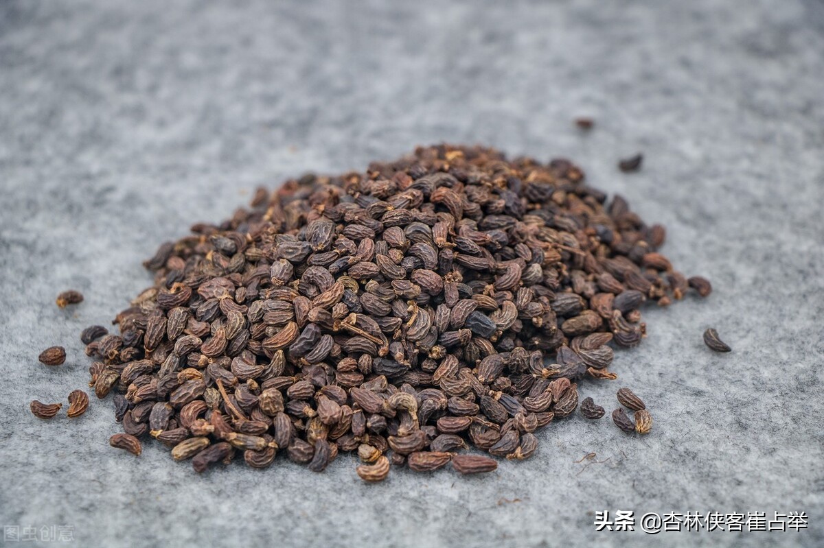 肾的精血不足吃什么中草药,气血不足精血也不足吃什么中药