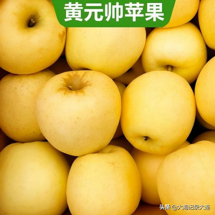 大连瓦房店红富士苹果,大连瓦房店苹果排行榜