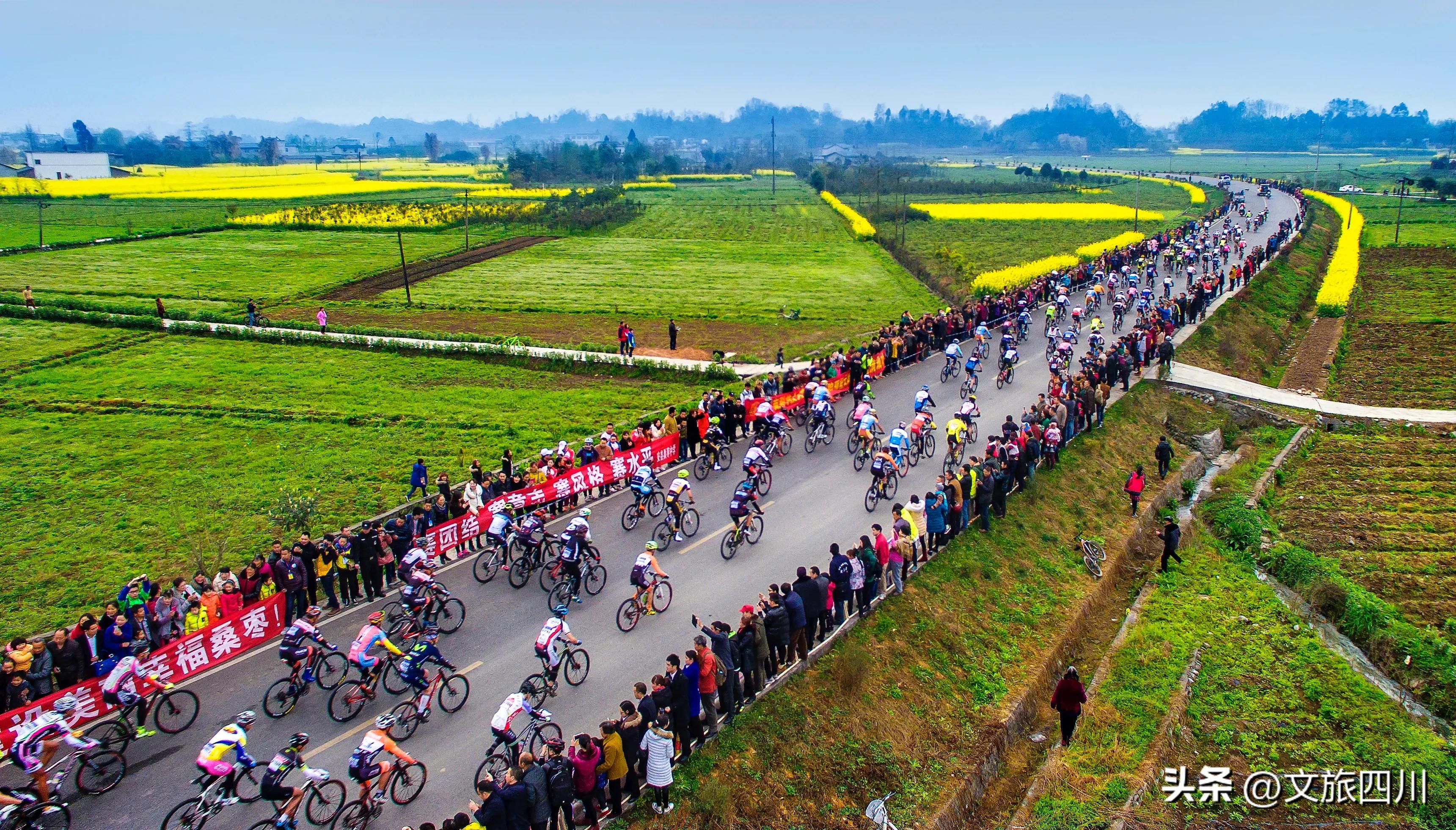 绵阳市游仙区乡村振兴战略规划,绵阳涪城乡村振兴新路径