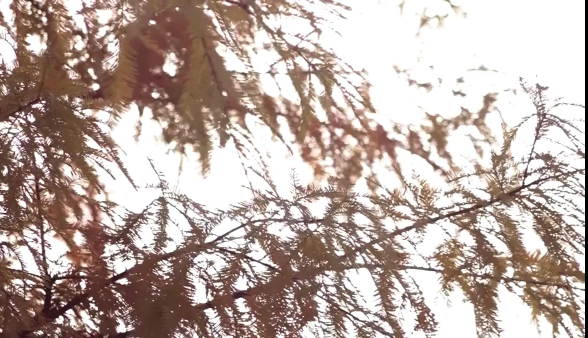 干支纪年如何转换为公元纪年,干支纪年和公元纪年对照表