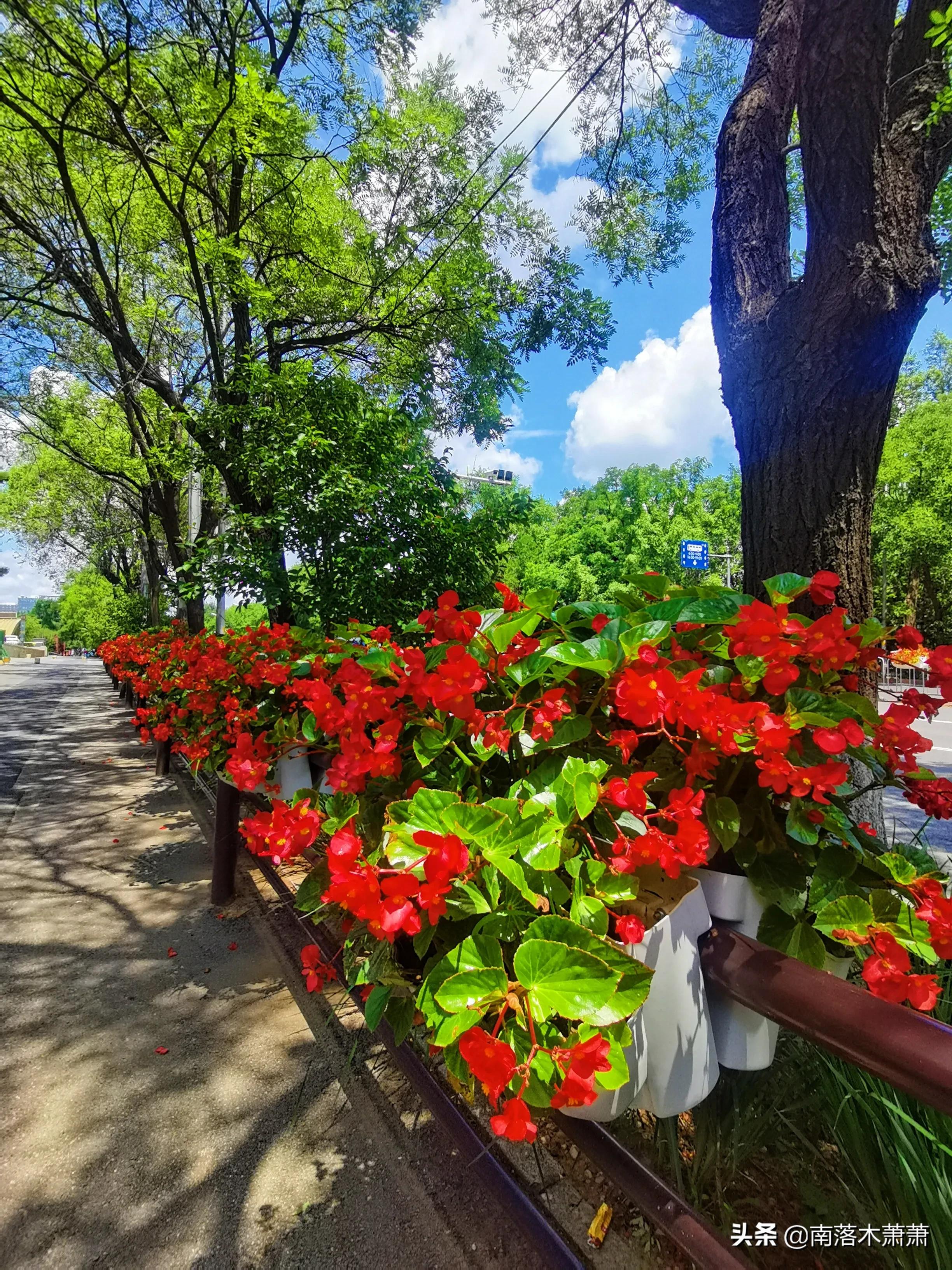 沈阳皇姑新乐遗址,参观沈阳新乐遗址博物馆