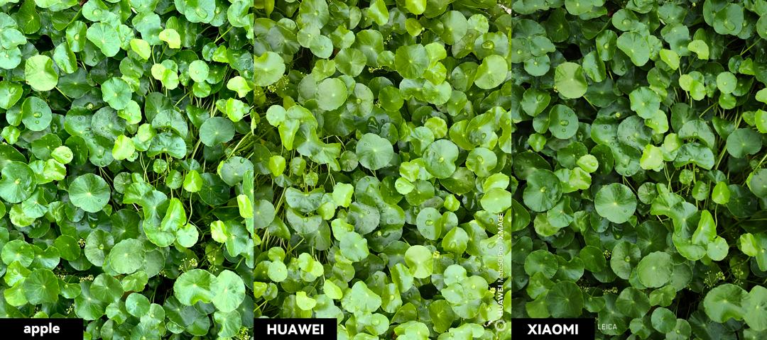 华为mate50pro24年还值得买吗,华为mate50pro只有4g网络吗