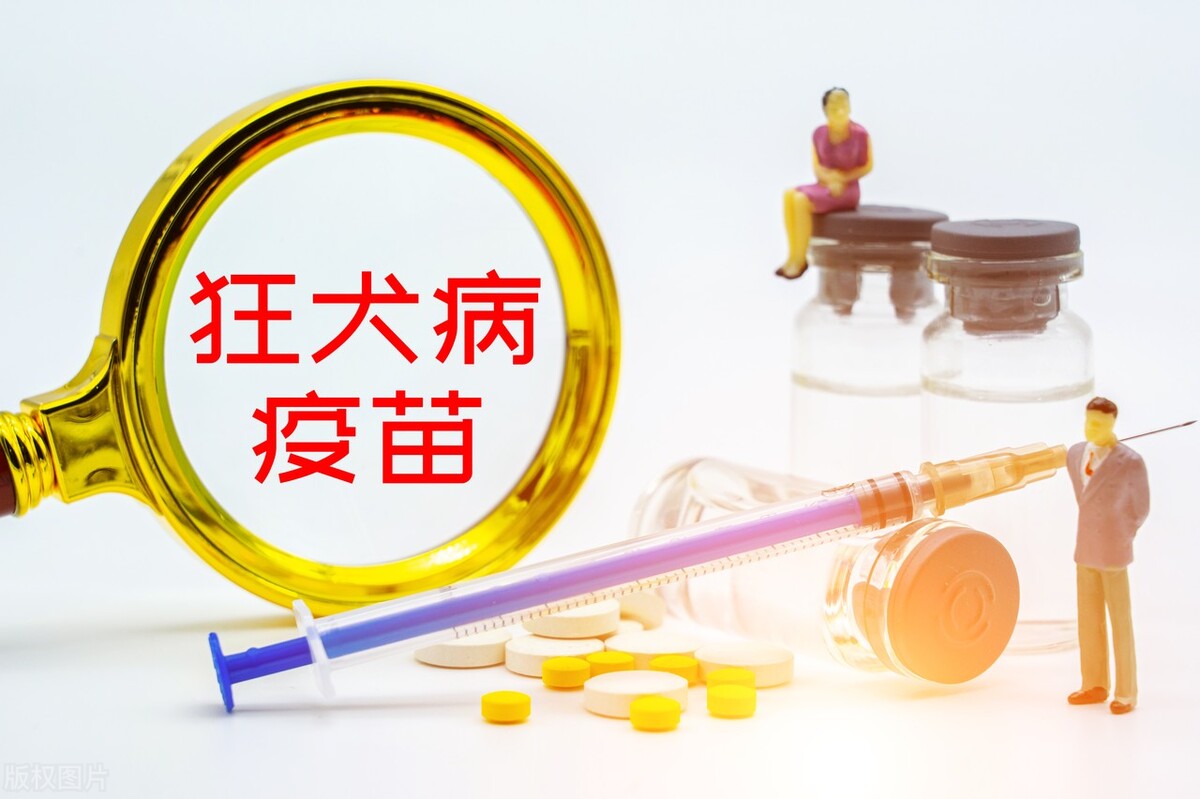 8岁男孩被狗抓伤染上狂犬病死亡,男孩被狗抓伤患狂犬病20天后去世