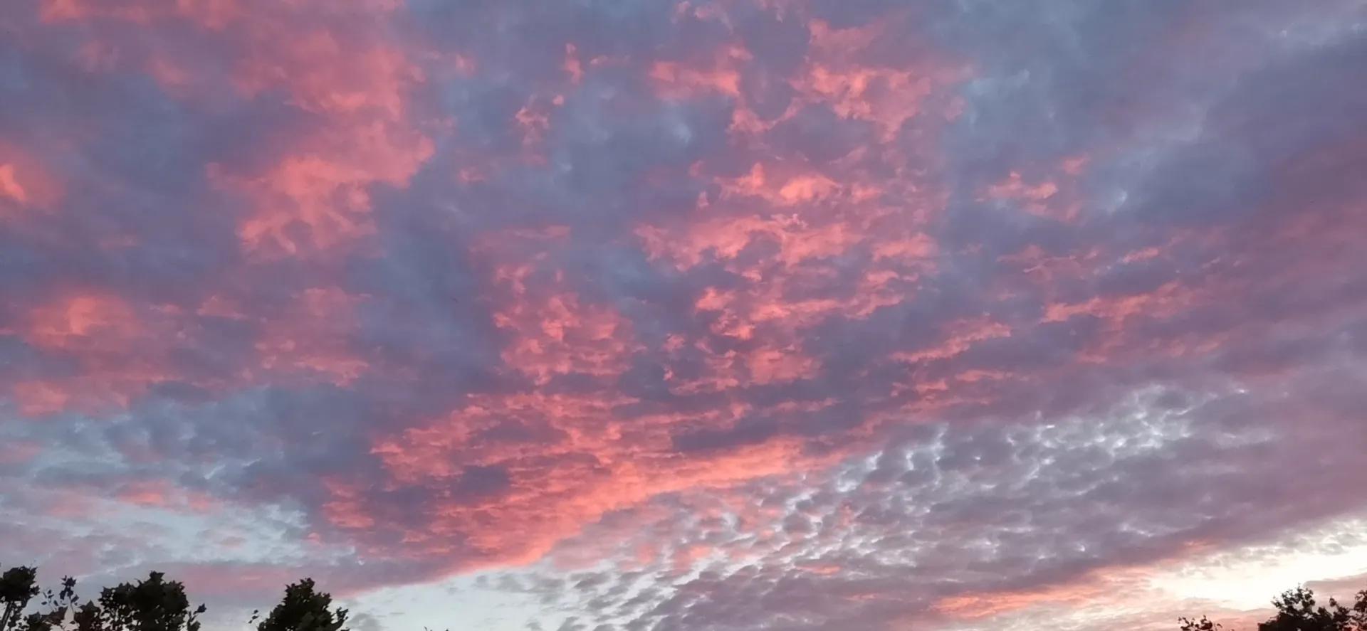 大学情侣一个月到底应该多少花销,大学生情侣一个月开支多少钱