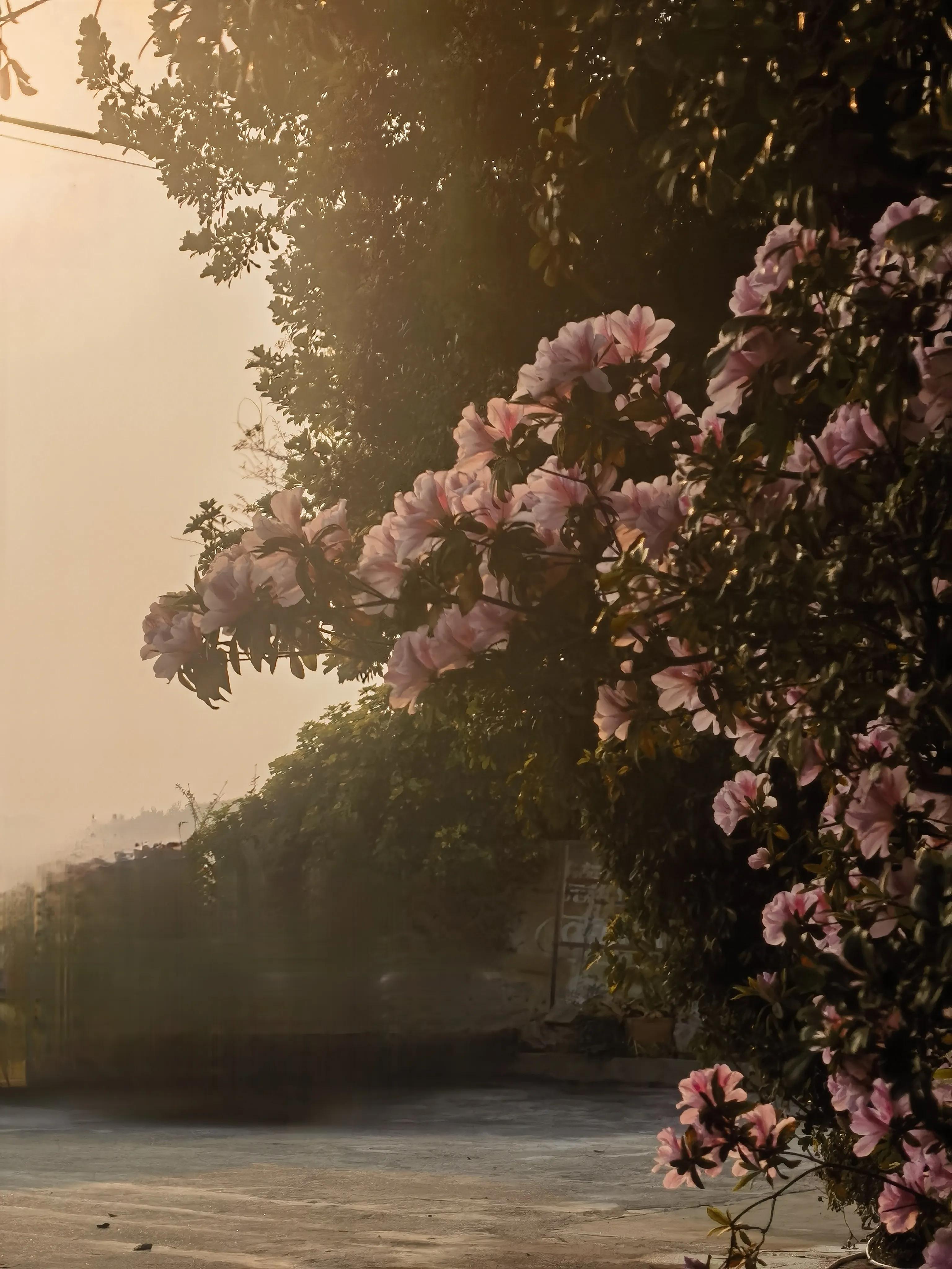 香港三日游和澳门一日游最佳线路,香港三日游最佳攻略