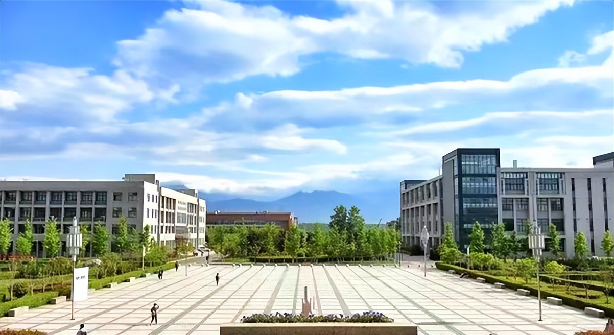 高等学校王牌专业排名前十,西安财经大学王牌专业就业率