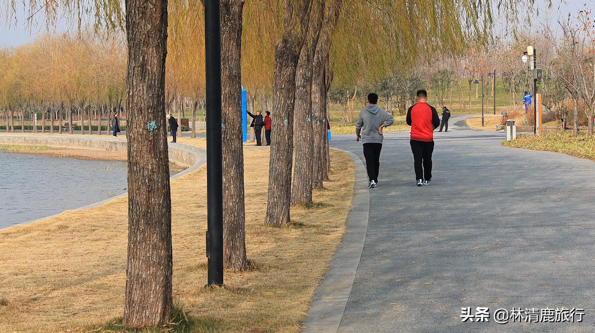 郑州大型湖泊公园,郑州环湖亲子公园图