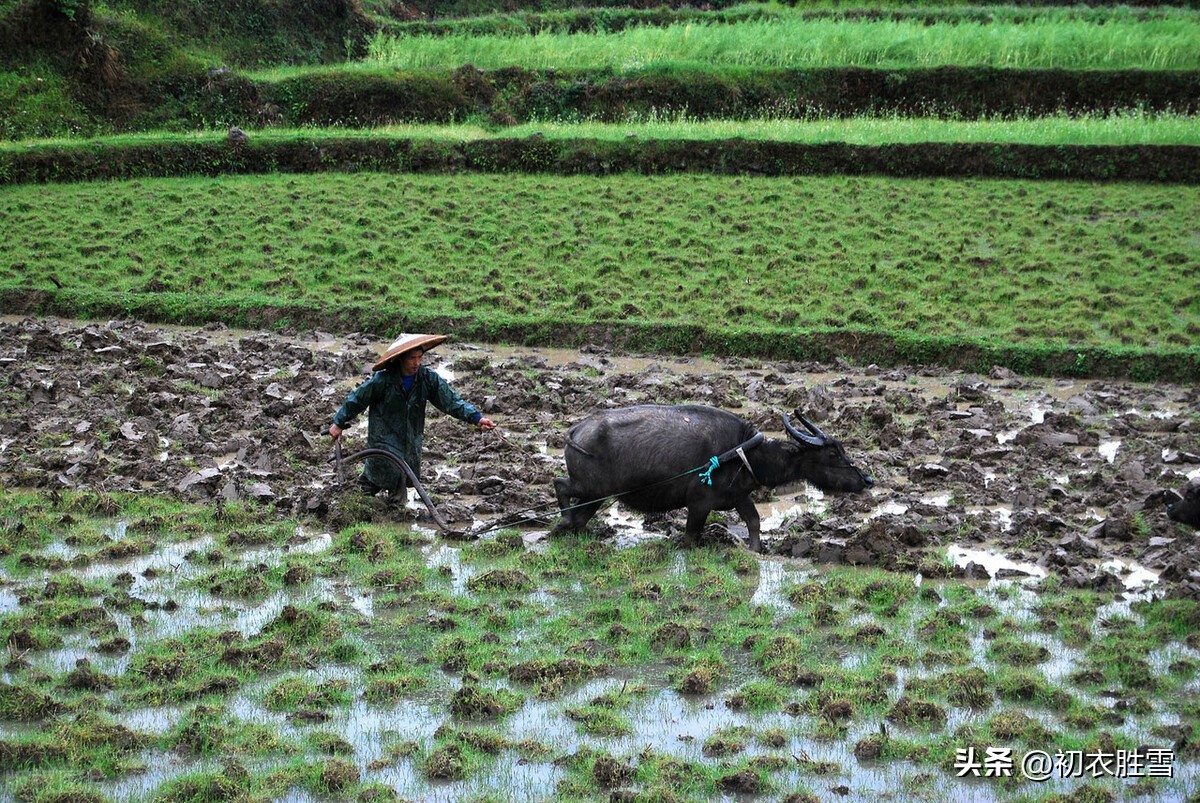 雨水节气诗词精选,雨水节气诗词十首