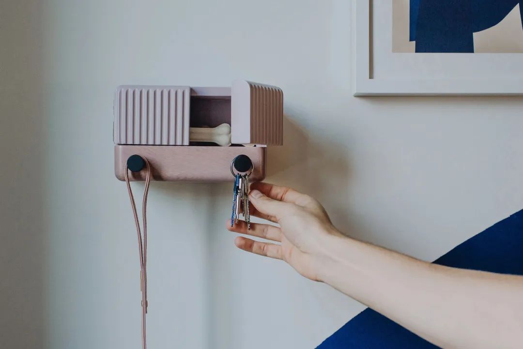 为宠物而设计,极简宠物产品