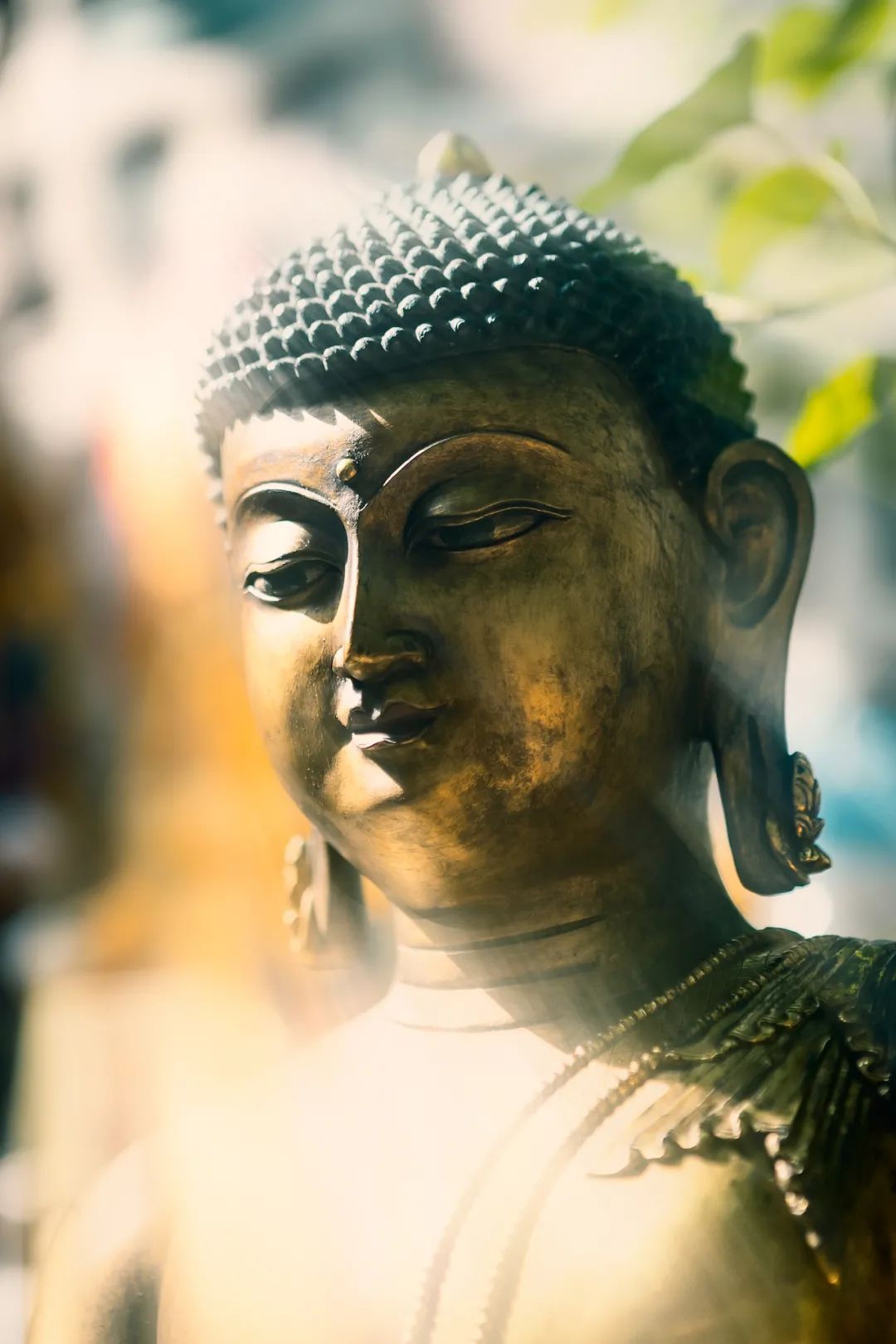 佛家的舍利子是什么意思,佛家说的舍利子是人体的什么东西