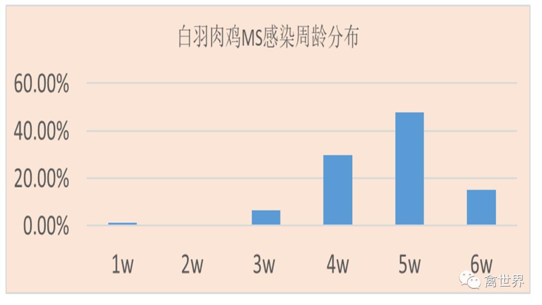大数据｜2019年-2022年4月我国鸡滑液囊支原体流行病学调查报告