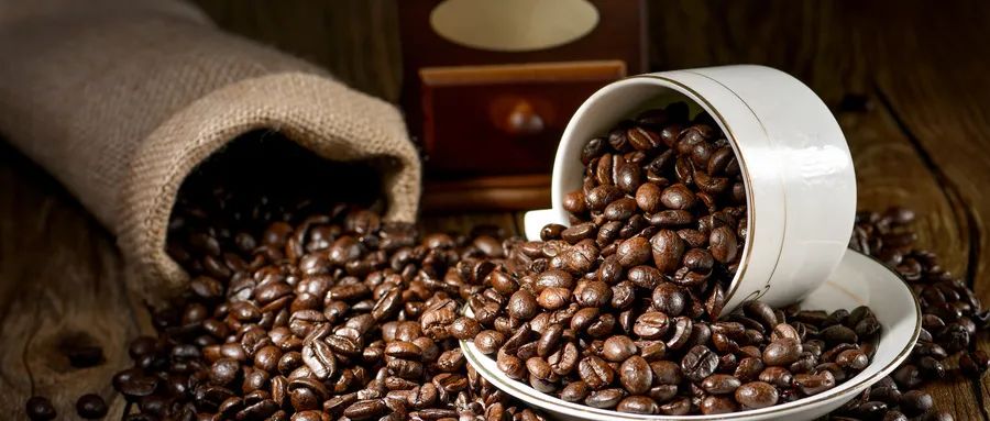 东鹏特饮功能饮料500ml*24,东鹏饮料中报业绩点评