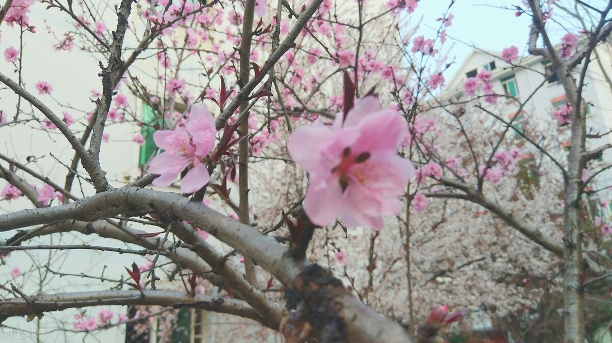 唐诗中有禅意的诗句,禅意七绝108首诗