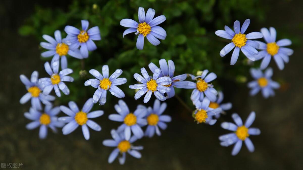 工作照拍摄技巧与角度,拍摄产品技巧与角度视频