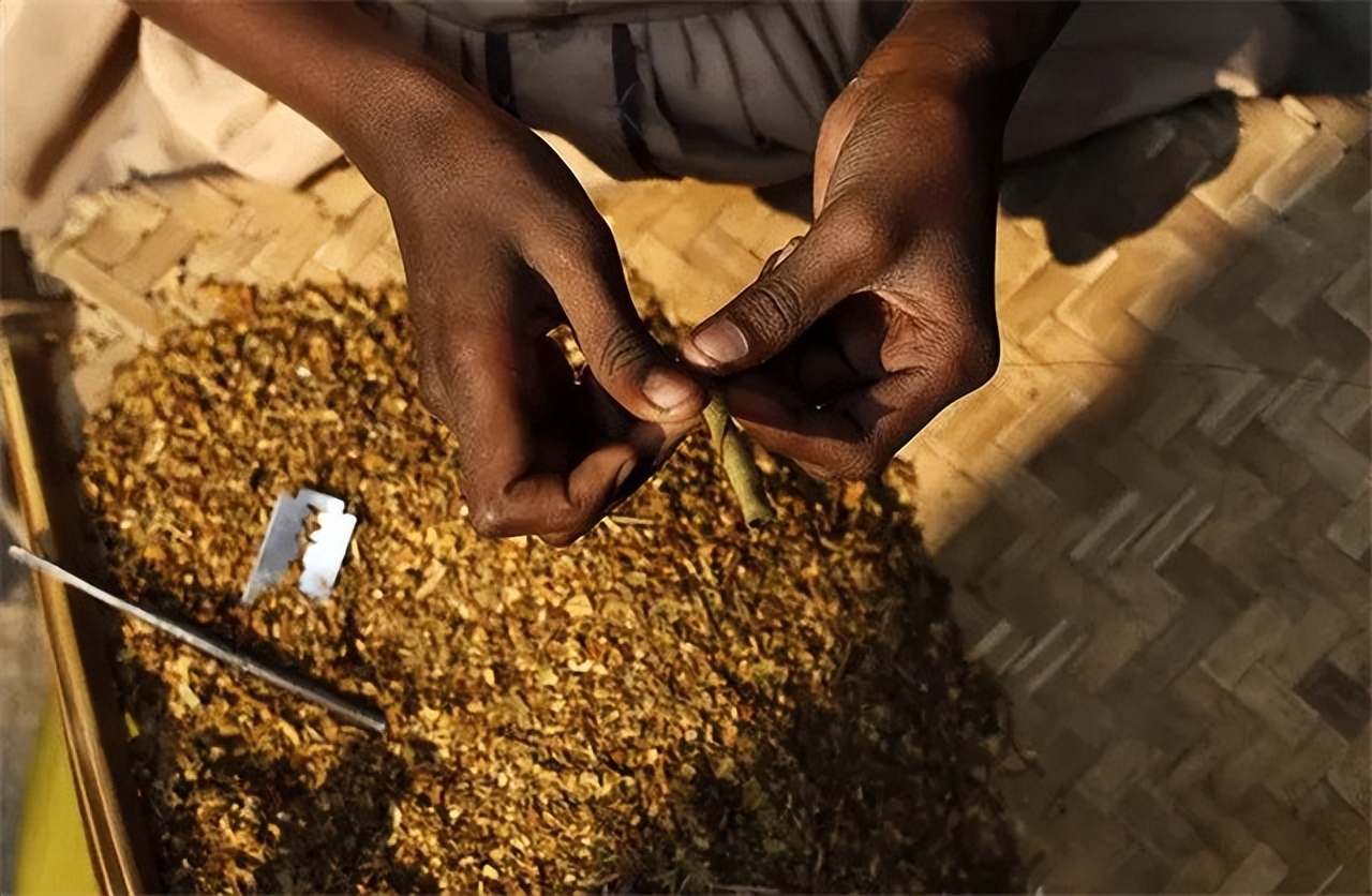 草烟的好处,草烟坏处