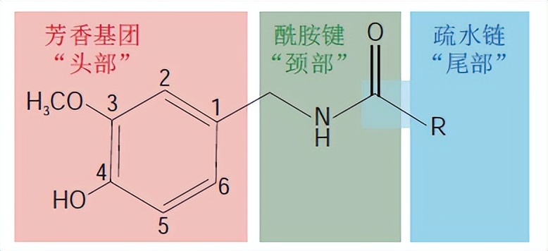 重新定义火锅辣度,泰酷辣重庆火锅