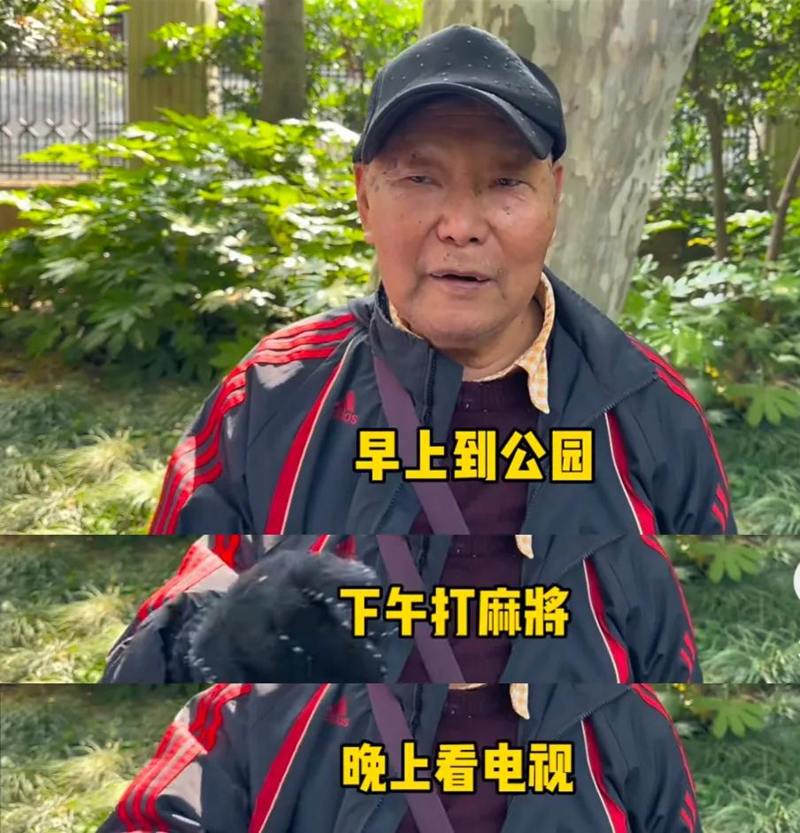 上海80岁大爷年轻秘诀,上海80岁老人日常生活