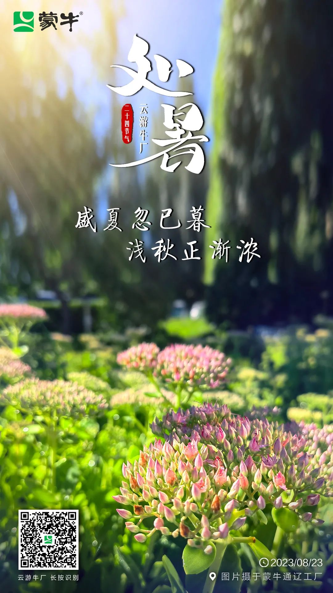 处暑丨辞暑迎秋，走进东北最大学生奶生产基地蒙牛通辽工厂