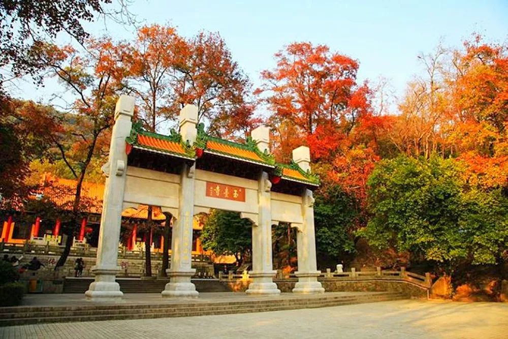 广州台山那琴半岛两日游,台山一日游必去景点牛山公园