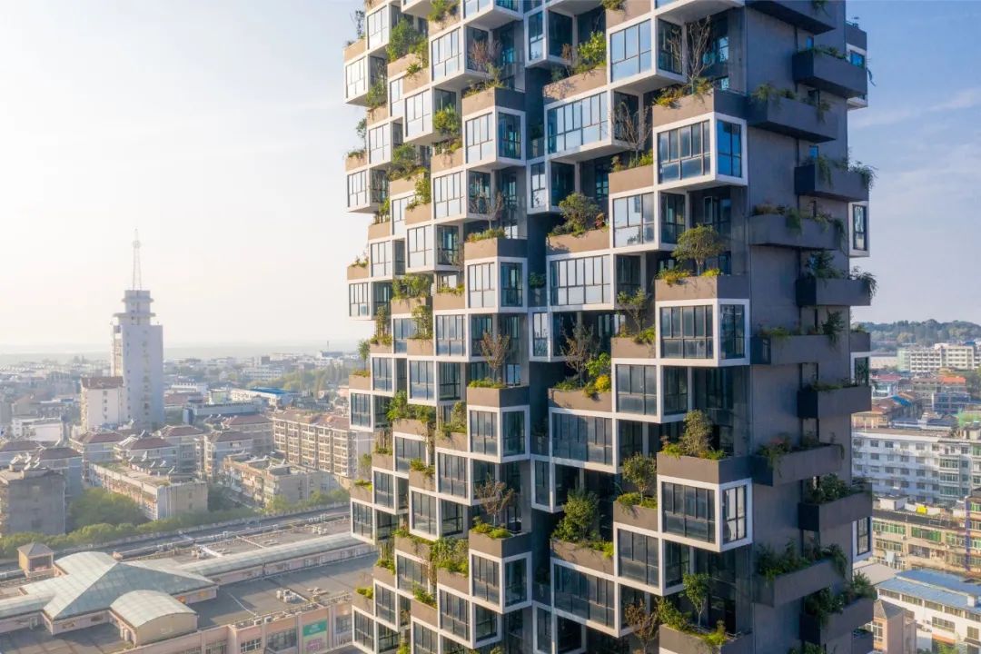 中国第一个垂直森林住宅项目,黄冈垂直森林住宅