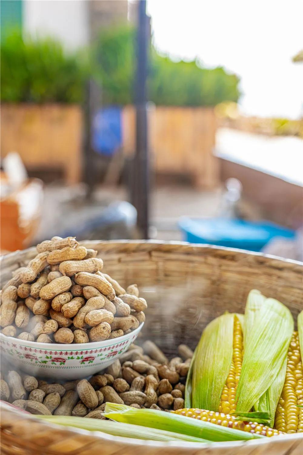 带你去双廊,住在浪漫的双廊洱海边看风景