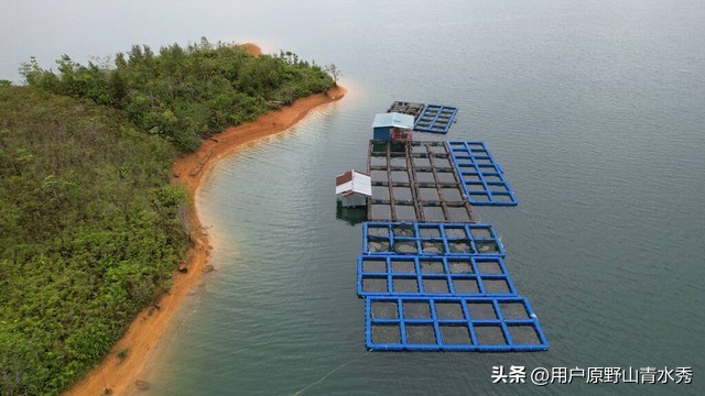 赌博人生合集,赌博人性