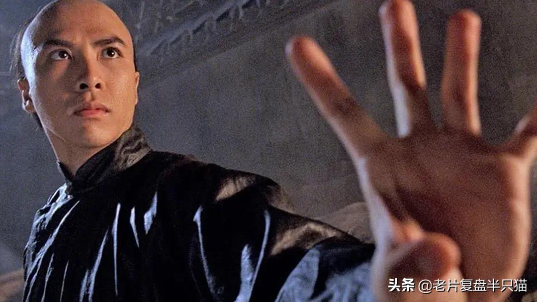 推荐几部甄子丹最能打的动作电影,甄子丹拍过三部巅峰时期动作片