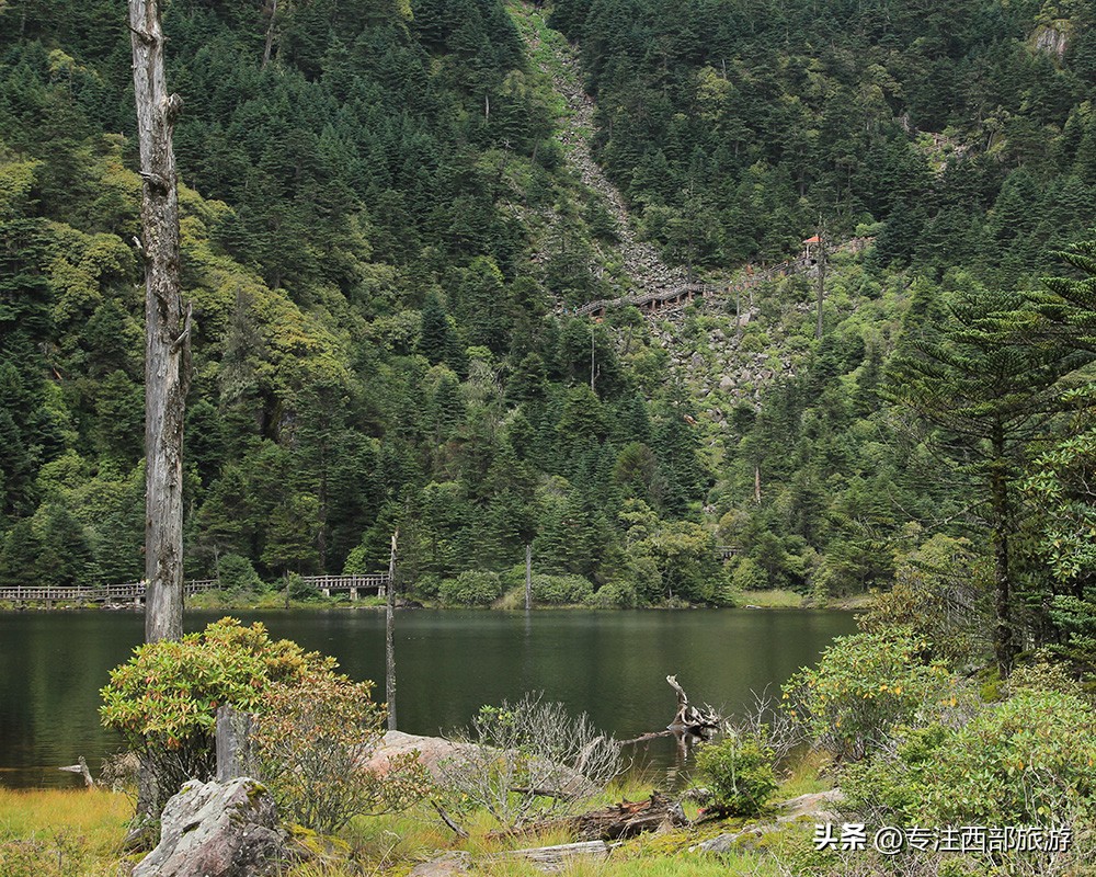 成都泸沽湖邛海旅游攻略,四川泸沽湖万亩草海秋景
