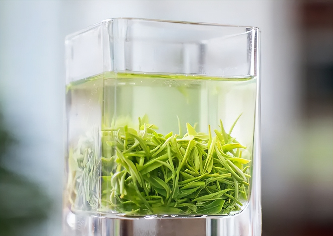 小暑天的养生茶怎么做好喝,夏季茶煮什么好喝又营养