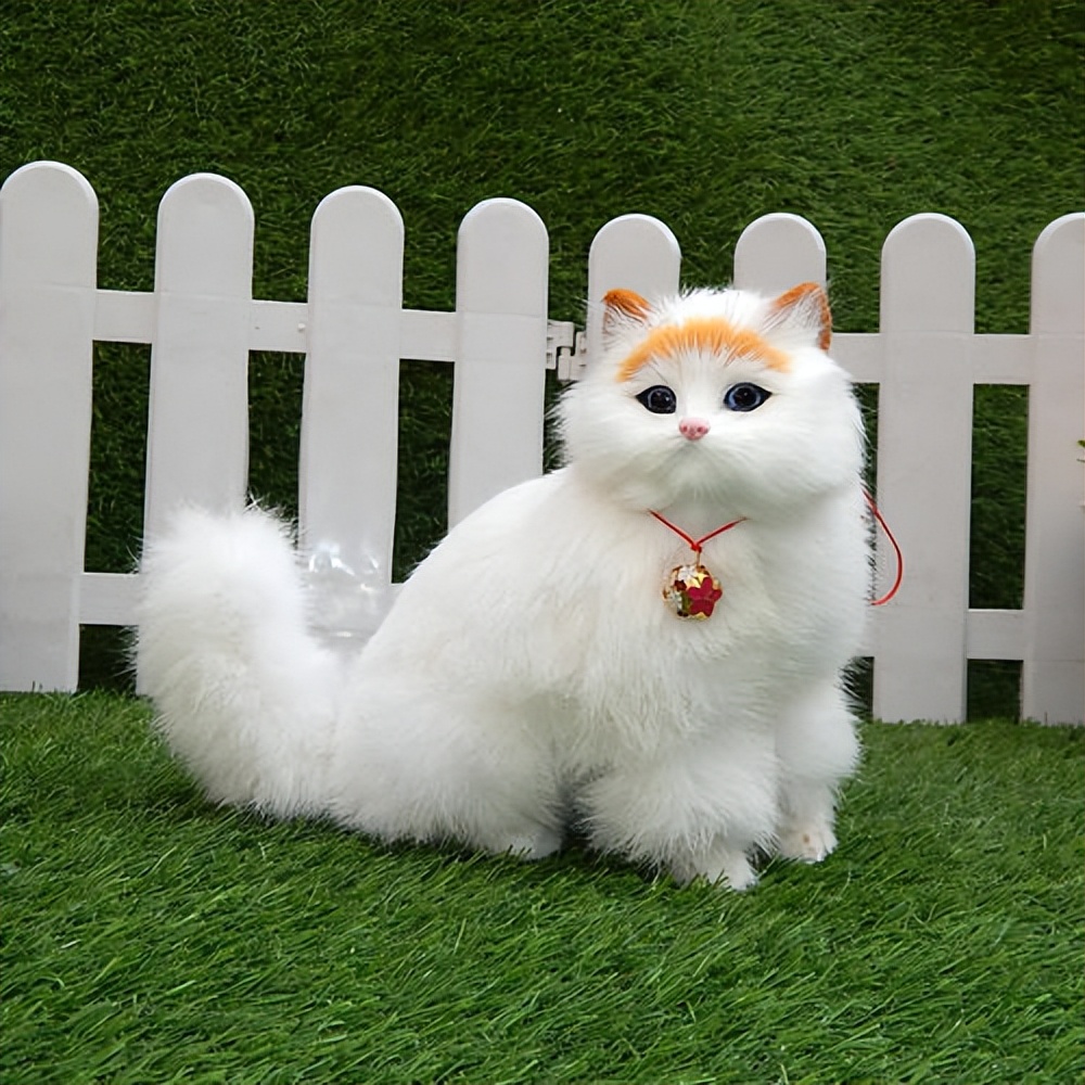 很可怕的5种猫不建议饲养,哪些猫比较适合新手饲养