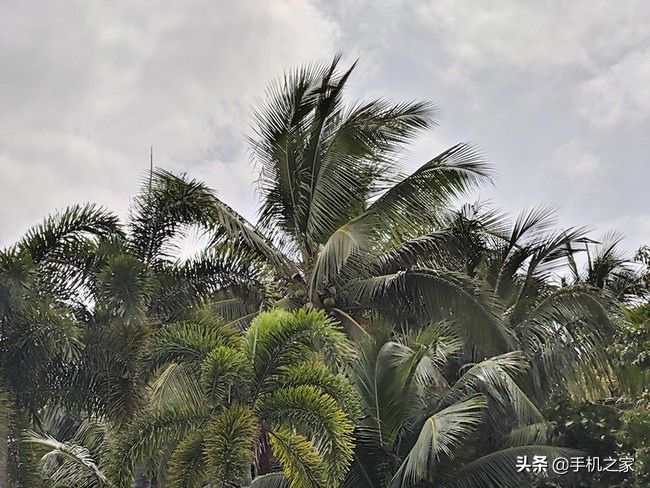 职业选手如何评价一加10pro,职业选手怎么评价一加10pro