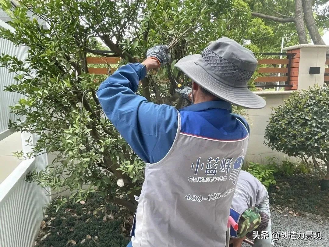 “满园春色”老客户回访日——最美人间四月天，不负*光春**不负你