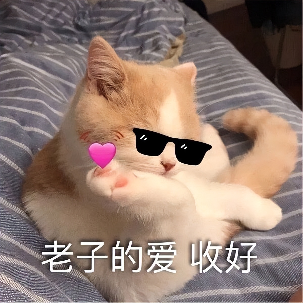 如何证明十二星座男生是否喜欢你,如何让十二星座喜欢你女生篇