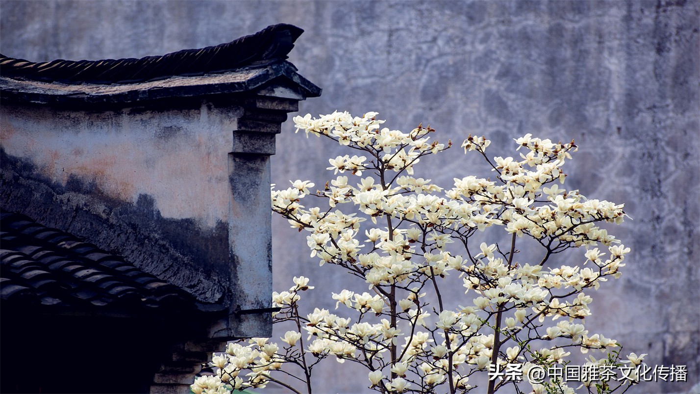 智者喜爱清泉，仁者喜爱山川