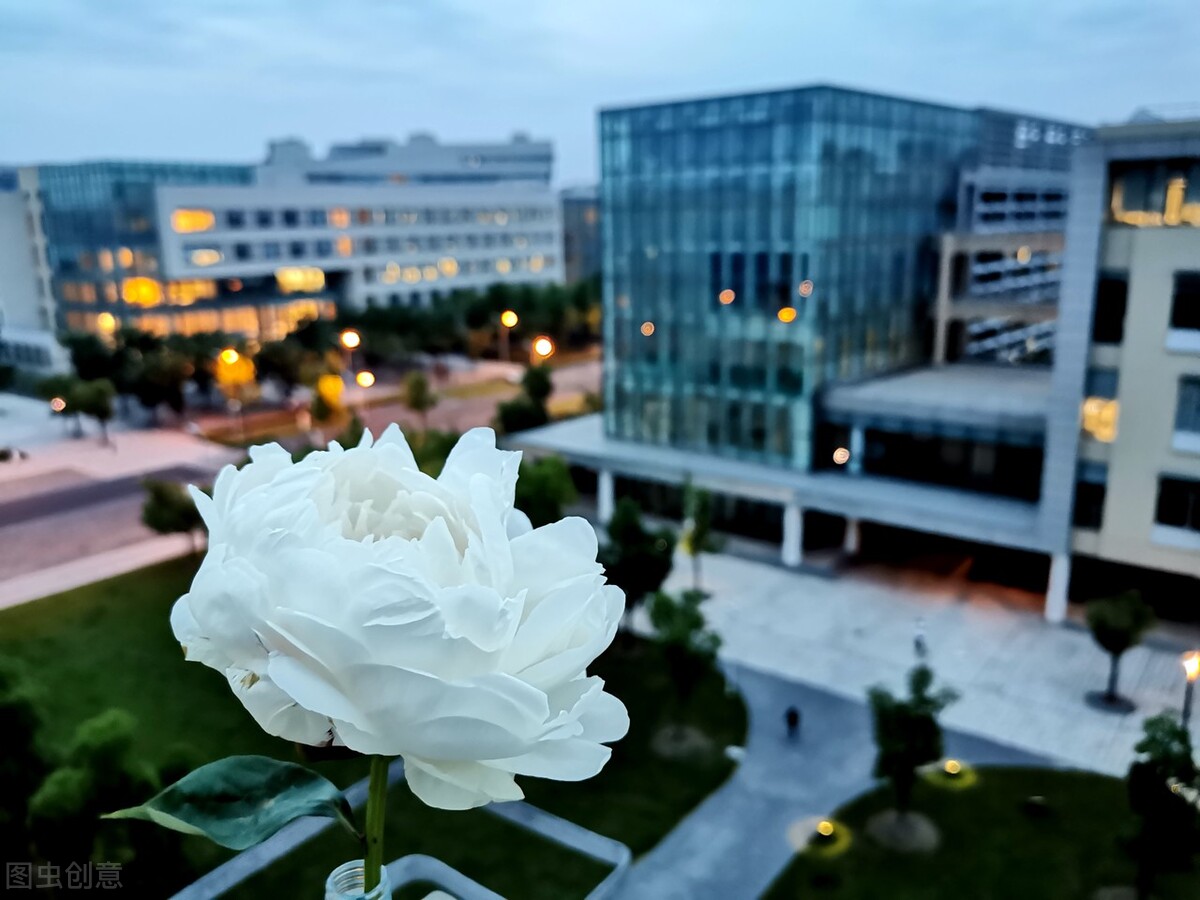 上海科技大学实力强劲，能成为双一流大学吗？