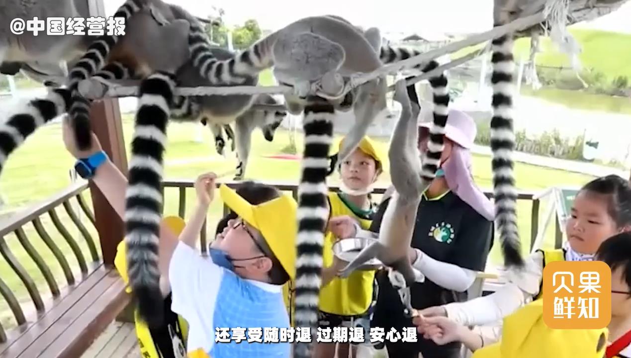 旅游业是不是赚翻了,旅游业赚的是黑心钱吗