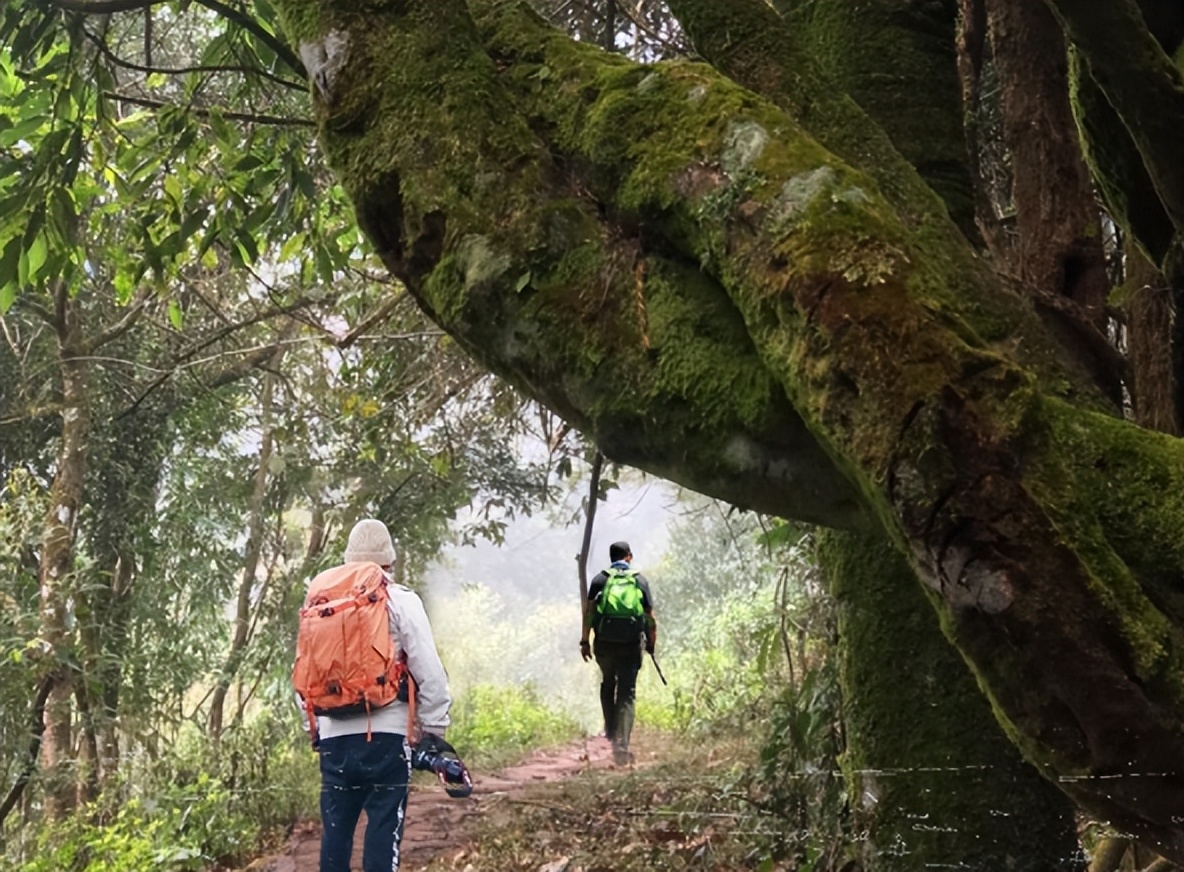 暑假游玩5天推荐的好地方,暑假值得去的旅游地点