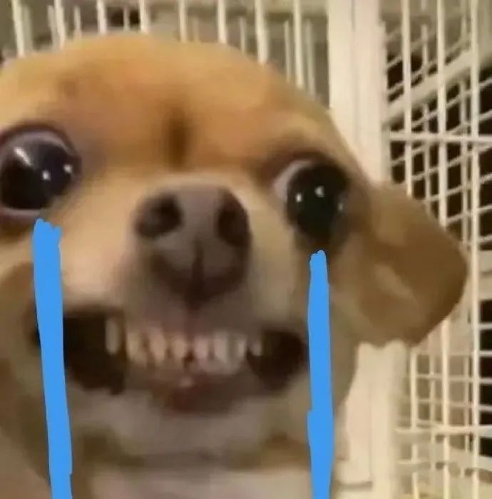 淘宝账户昵称文案,改淘宝网名的文案