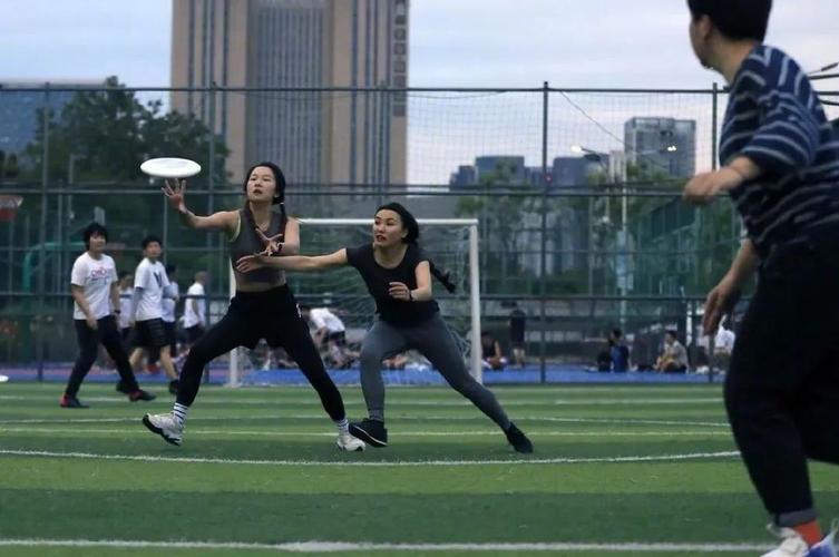 为什么飞盘这么不受欢迎,为什么有人反感飞盘