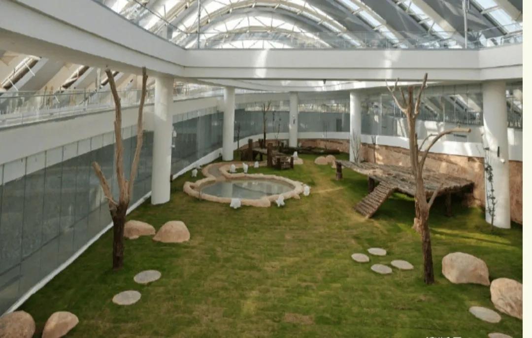 卡塔尔世界杯小知识卡通,卡塔尔世界杯知识