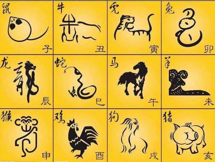 十二生肖三分钟的了解,十二生肖知多少这些知识你了解吗